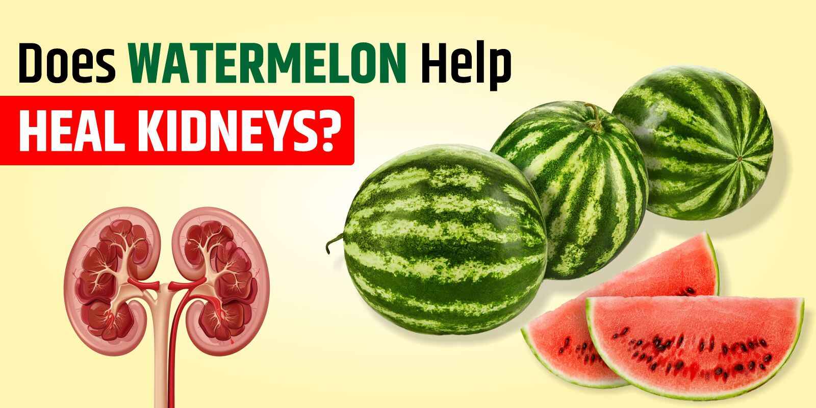 Does Watermelon Help Heal Kidneys?